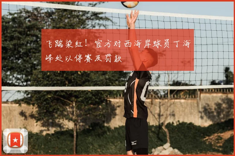 飞踹染红！官方对西海岸球员丁海峰处以停赛及罚款