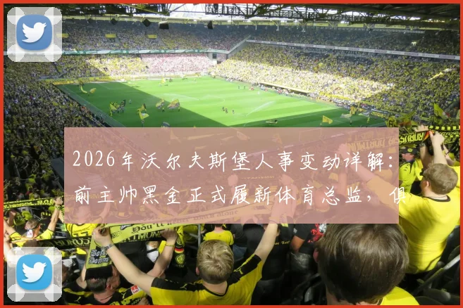 2026年沃尔夫斯堡人事变动详解:前主帅黑金正式履新体育总监,俱乐部战略调整引关注