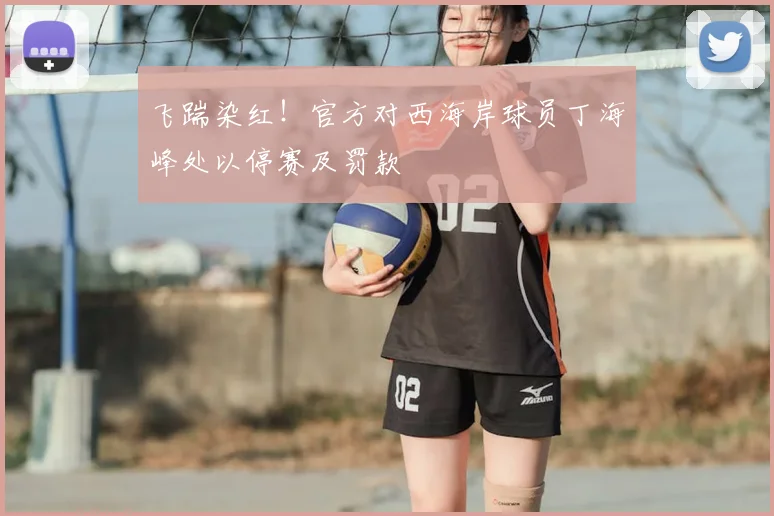 飞踹染红！官方对西海岸球员丁海峰处以停赛及罚款