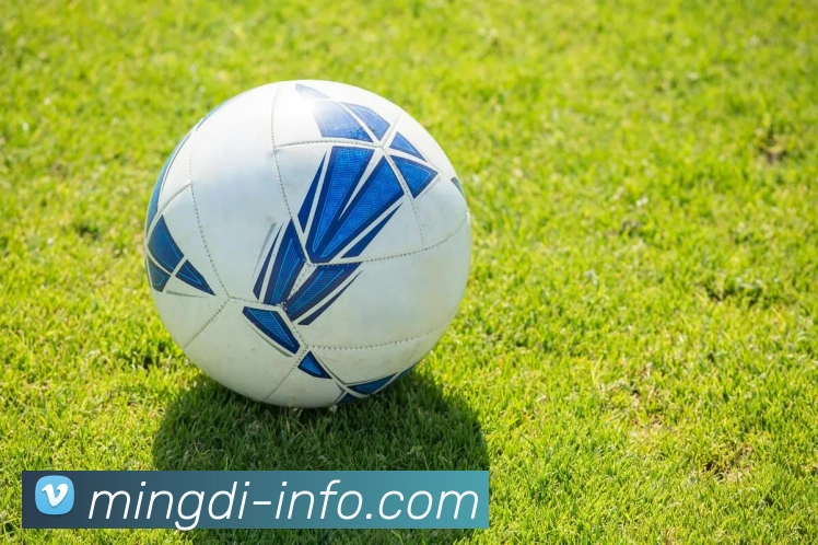 App 展示图